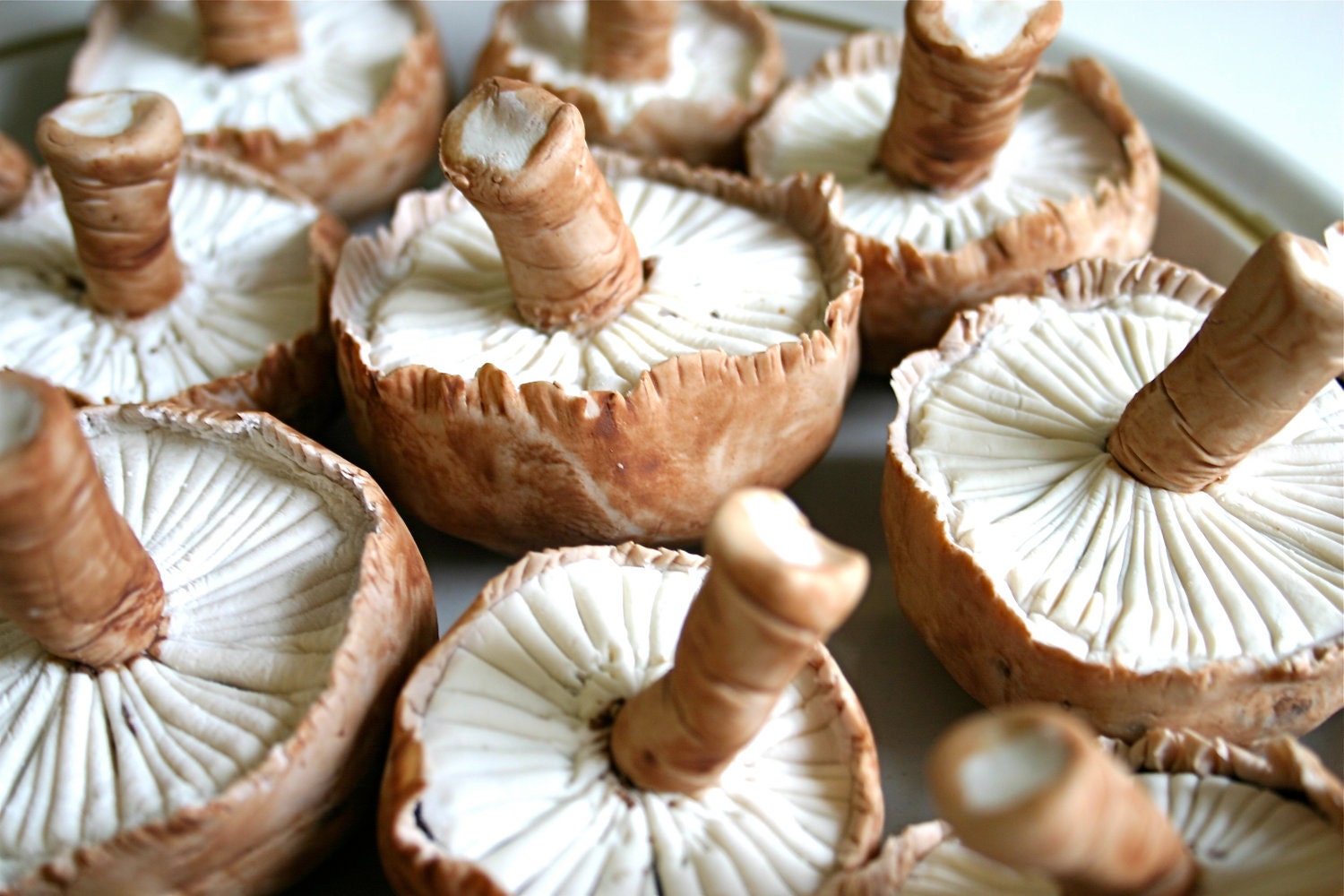 Chocolate Candy Mushrooms LifeSize 12 -As Seen in Urban Outfitters and Better Homes and Gardens