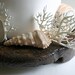 Edible Sugar Fan Coral - 9 pieces - Beach Wedding / Beach Event