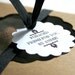 Edible Chocolate Cocoa Bean Candy Acorns 25 - Cake Decoration / Gift - Featured in the Huffington Post-