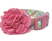 Pink Blue Plaid Dog Collar with Pink Flower Accessory - Cotton Candy Plaid