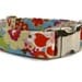 Summer Dog Collar The Bailey Collar with Nickel Plate Hardware