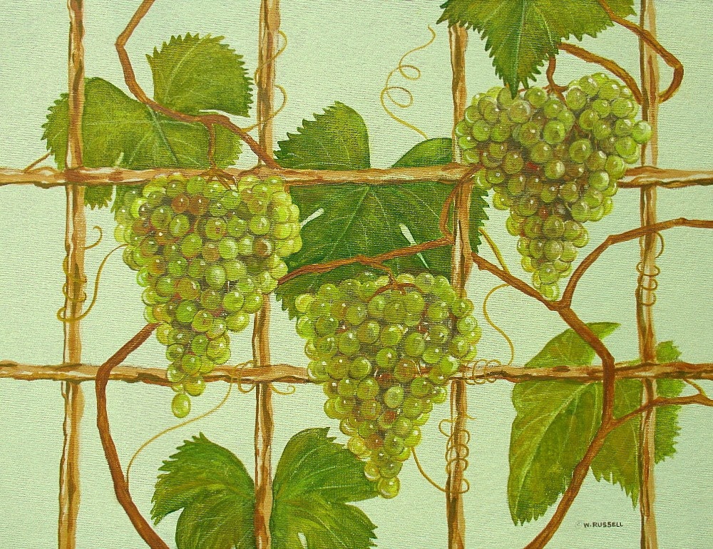 Original Painting on Canvas Green Grapes on the Vine