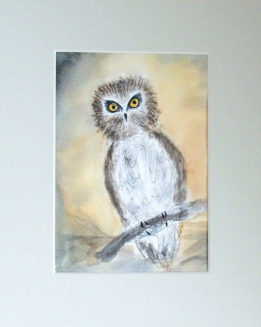 Saw Whet Owl watercolor painting.