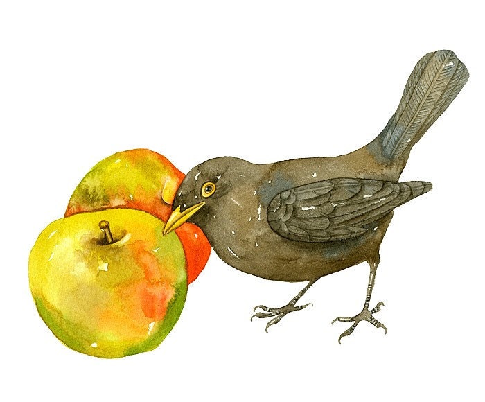 8x6 Bird Print, Limited Edition - Blak Bird Art Watercolor by Lorisworld