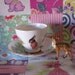 Illustrated Vintage Cup and Saucer Set Scenic Country Cottage with Shy Bunnies