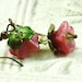 Secret Garden Floral Earrings with Pink Czech Glass Flowers & Swarovski Crystals