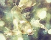 5x7 Print - Come Dance with Me