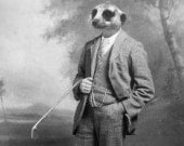 Funny Animal Photography - Meerkat in a Suit - 5x7 Print - Golf Gift - Vintage - Black and White Photography - Father's Day - Antique