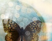 8x10 Print - Perpetual Beauty