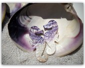 Wampum Sea Horses - Handmade Beads - Marthas Vineyard