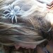 Wedding Spider Hair Clip... Perfect For Halloween Wedding Bling