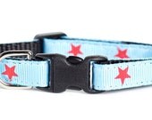 Cat Collar - The All American