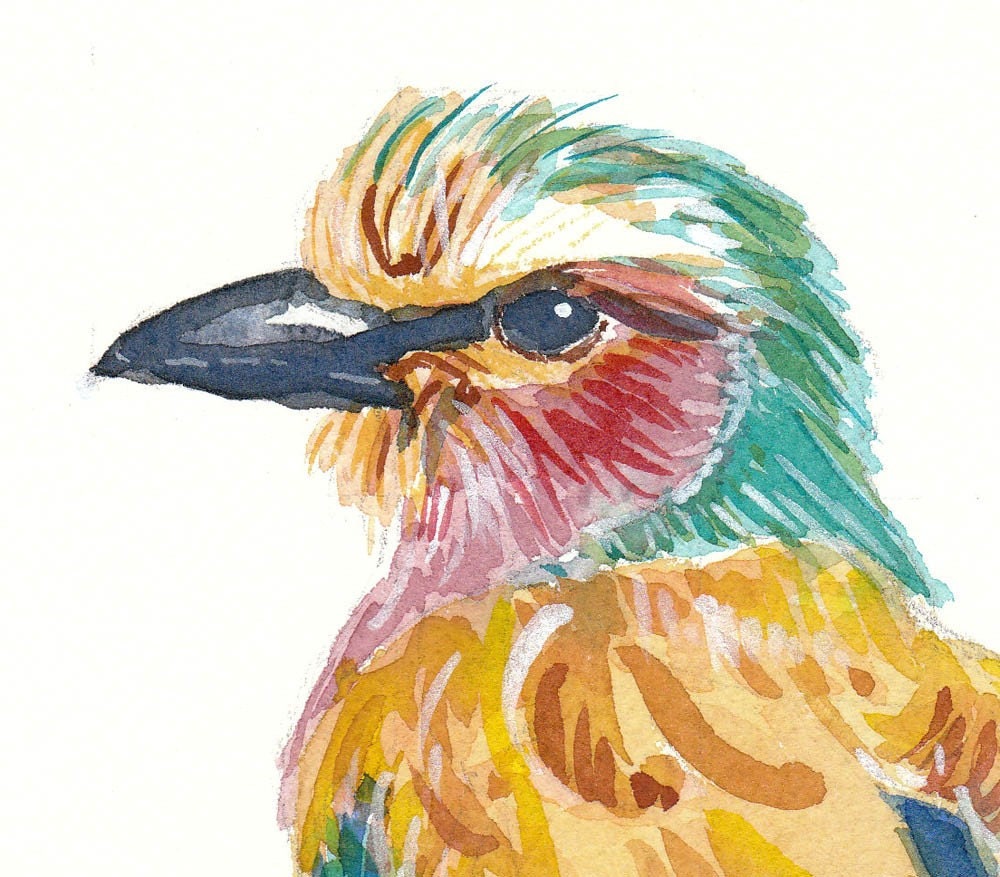 SALE - Original Bird Watercolor - Lilac-Breasted Roller, Bird Illustration, Animal Art
