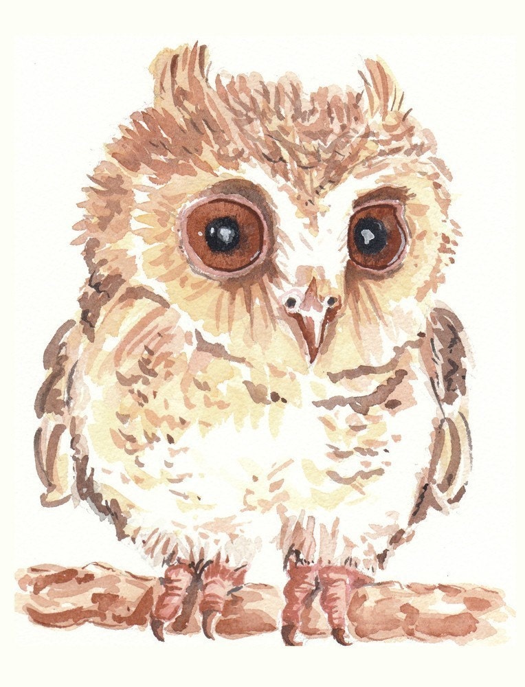 Owl Watercolor PRINT - Animal Watercolor, Limited Edition, 8x10 Print, 23/25