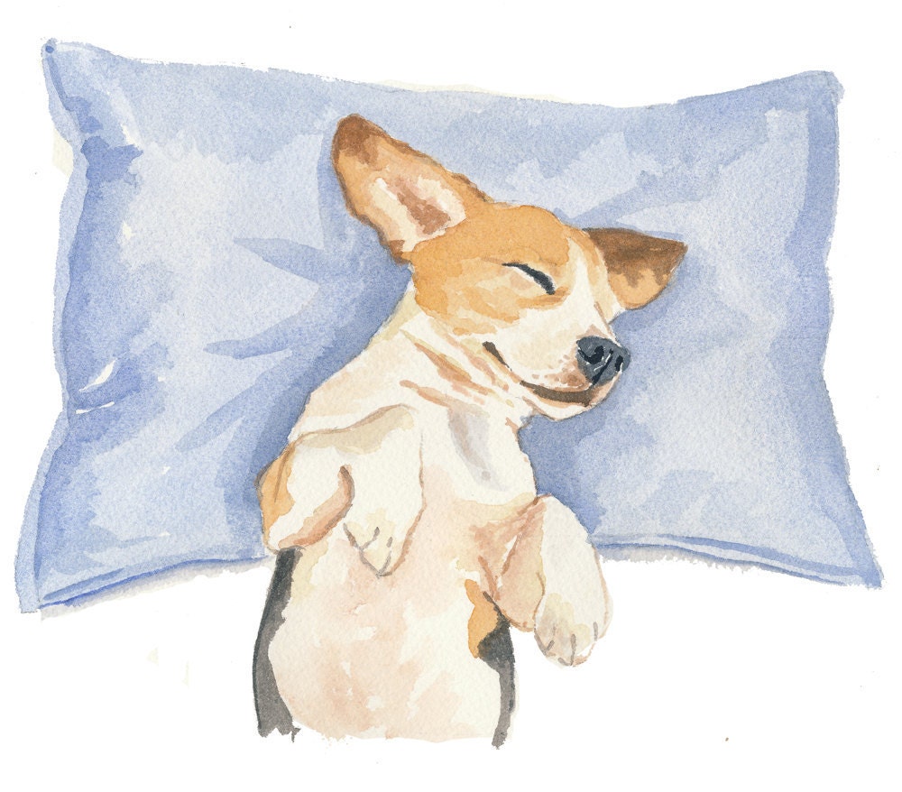 Dog Watercolor - Jack Russell Terrier Illustration, Original Painting, Sleeping Dog, Dog Art, 10x8