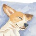 Dog Watercolor - Jack Russell Terrier Illustration, Original Painting, Sleeping Dog, Dog Art, 10x8