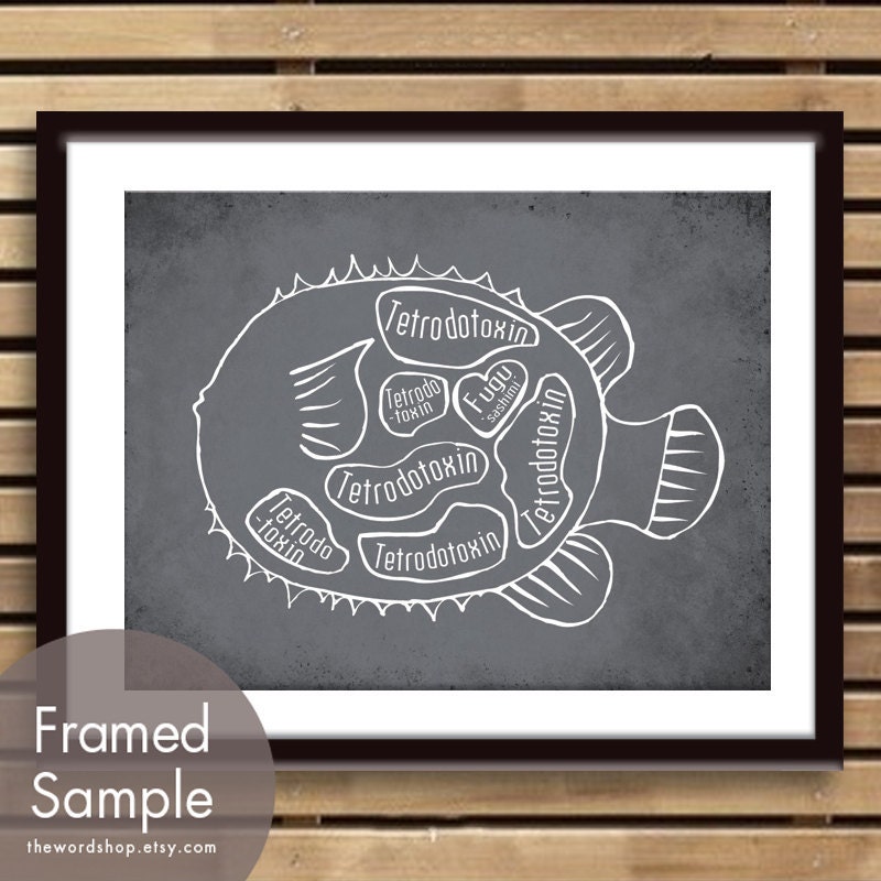FUGU Butcher Diagram of a Blowfish -8x10 Print (featured in Charcoal) (Buy 3 and get One Free)