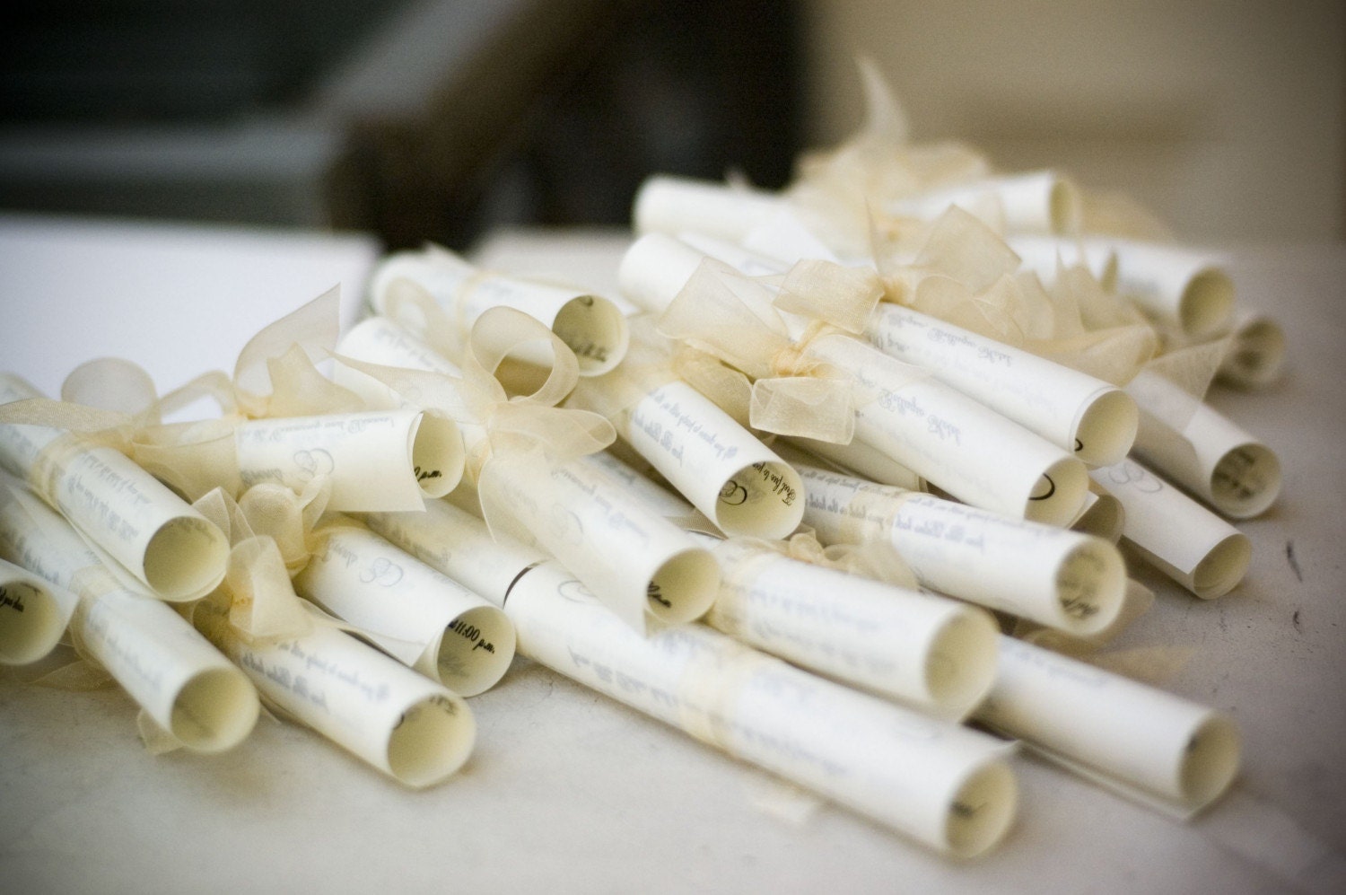 As Seen in BRIDES Magazine - 1 DIY Vellum Program Scroll w/ Bow - No Minimum - BesoDesigns