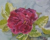 Rugosa rose Roserie de l'hay original watercolour 6 in x 6 in 15cm x 15cm