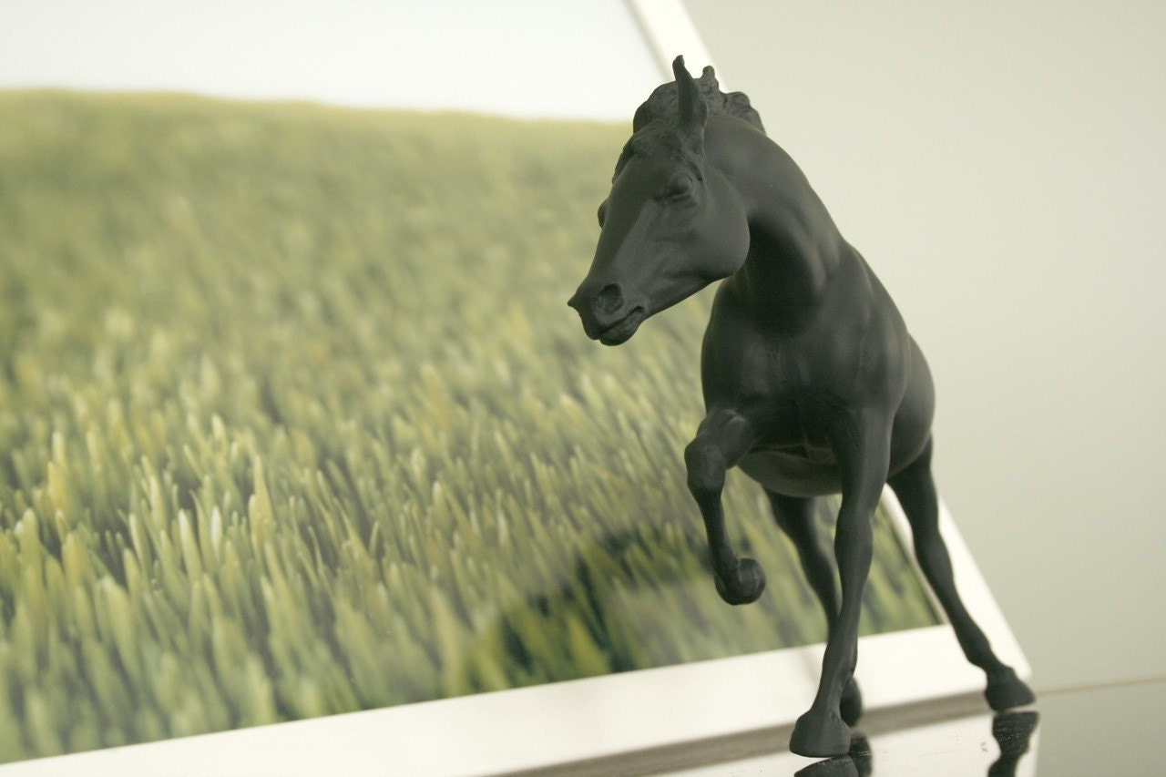 The Original Chalkboard Horse - Soren