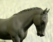 The Original Chalkboard Horse - Echidna
