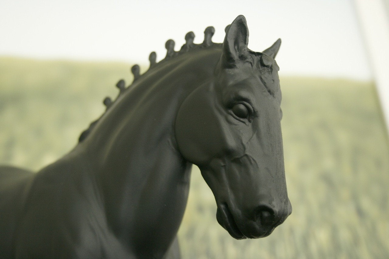 The Original Chalkboard Horse - Claudius