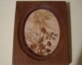 VinTage FraMed 1987 Dried FloWers PicTure--FREE SHIPPING in the US