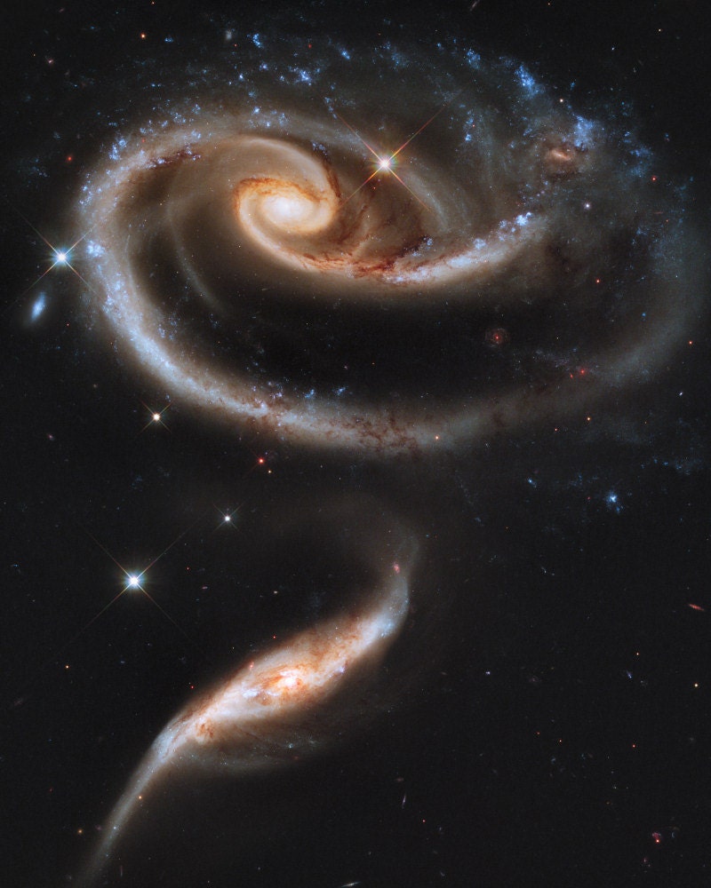 SALE A Rose of Galaxies 8x10 inch Fine Art Astronomy Print on Glossy Paper