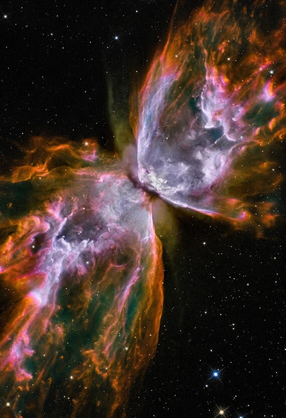 The Butterfly Nebula 13x19 inch Astronomy Fine Art Print on Metallic Paper
