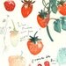 Les fraises - Original watercolor painting
