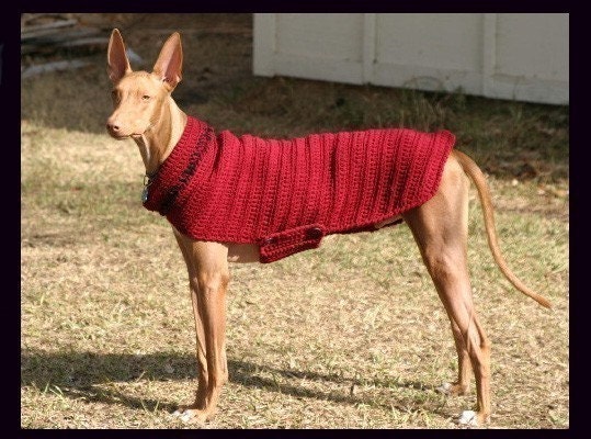 Instant Download - PDF Crochet Pattern for Greyhound Sweater and Snood