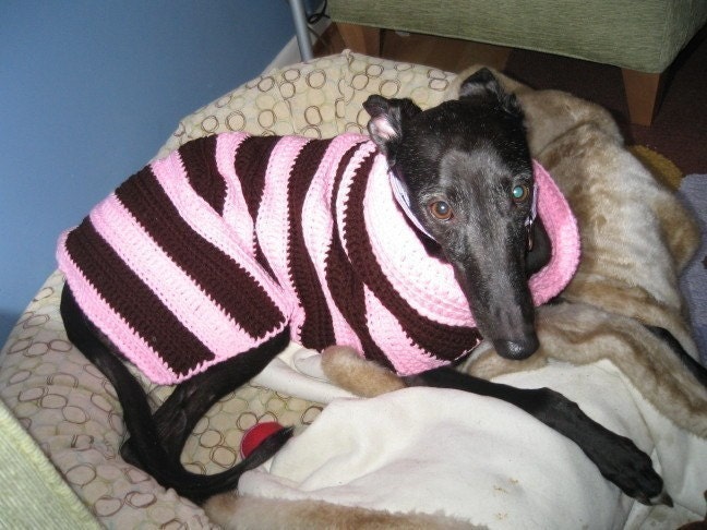 Instant Download - PDF Crochet Pattern for Greyhound Sweater and Snood