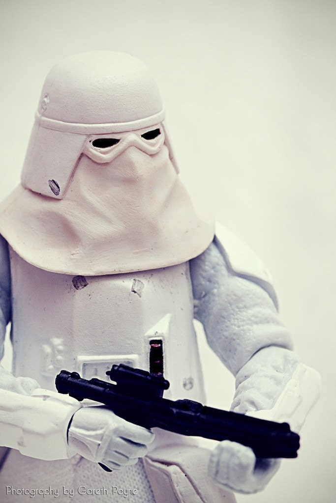 Snowtrooper (8x12)