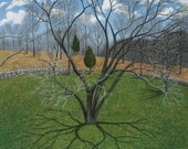 Early Spring