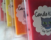 Gift set Your choice set of 3 Juicy Fruits soy tart-melts by candlekitty on Etsy
