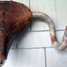 Bicycle Saddle Ram's-Head Sculpture
