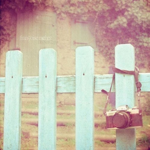 Vintage Fence  8 x 8 Fine Art Photography