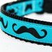 Mustache Dog Collar / Black Mustache on Teal Blue / Pet Accessories / Handmade / Adjustable