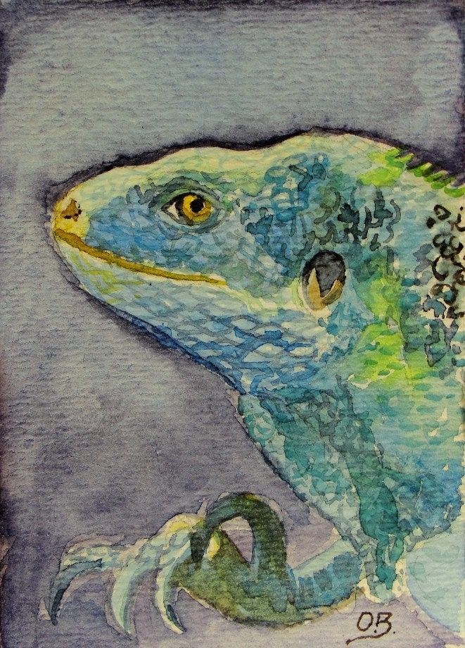 Fijan Crested Iguana - ACEO original