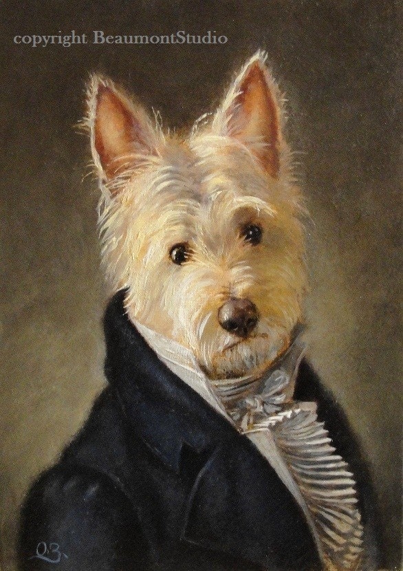 Mr. Darcy - Westie breed - Photo print