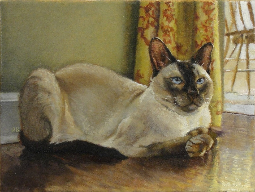Composed Pet Portrait