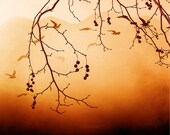 Photography download Autumn photo affordable home decor tree branches autumn sunshine