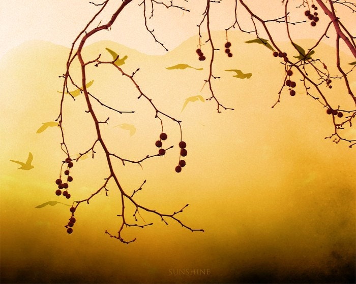 Photo Download Summer decoration landscape photograph Digital download yellow home decor
