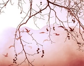 Digital download Romantic red wall art Fine art photography  tree branches winter red pink brown