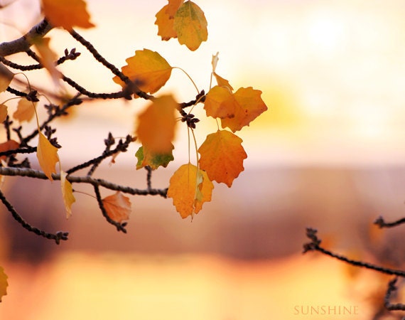 Autumn fall leaves - Autumn photography - Mustard orange - Painting Autumn II - Surreal autumn photo - sunshineartdesign