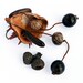 long dangle earrings with natural seeds and nuts (no.71.3) tribal jewelry - ethnic earrings - eco friendly