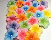 Gum paste Flowers Pastel Colors 30 piece Set with Ivory Dragee