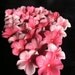 Cake Decorations Different Shades of Pink Cherry Blossoms 25 piece