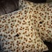 Pillow Covers(pair) Pine Cone Print 18x18