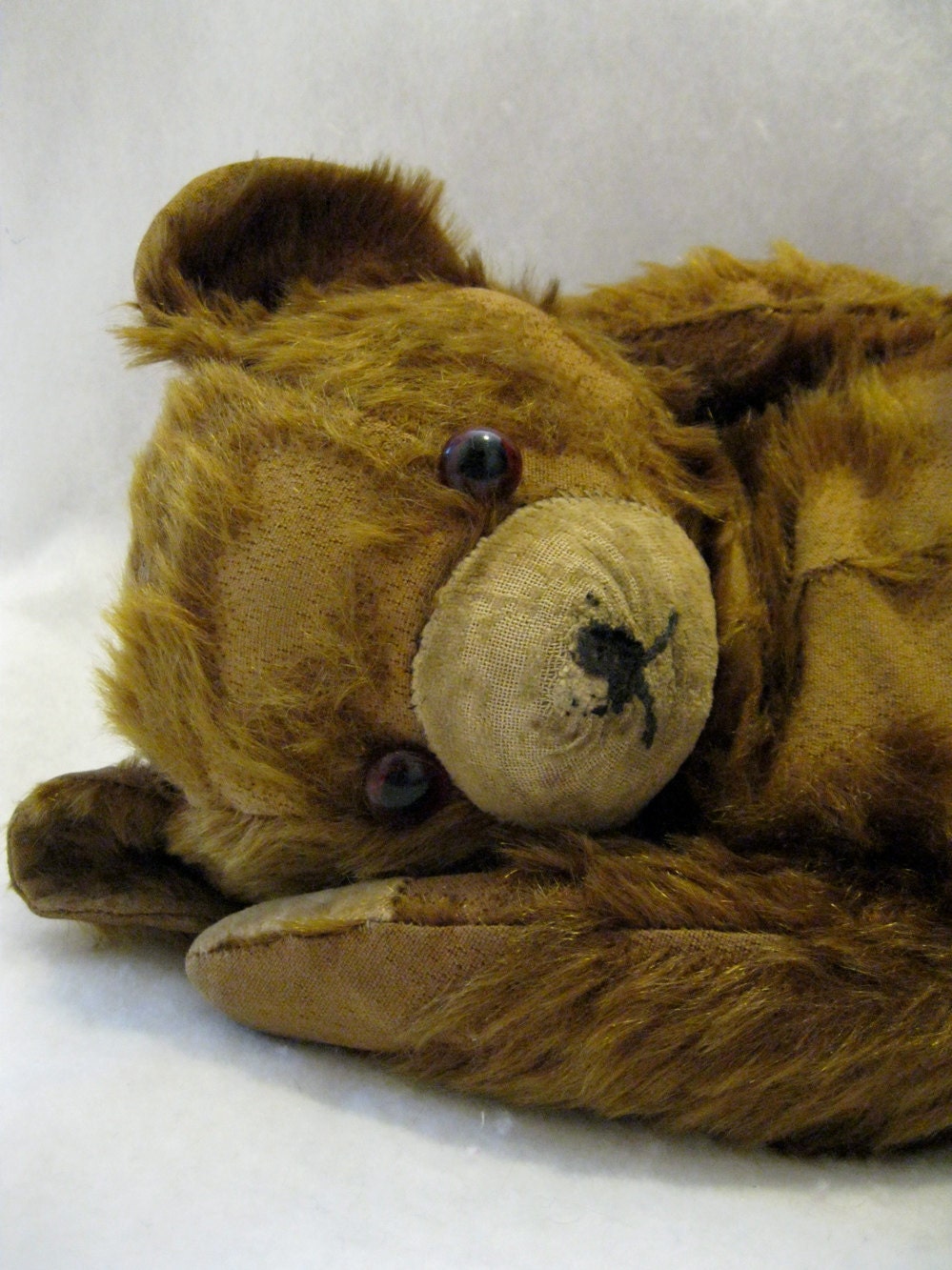 Sad Old Bear